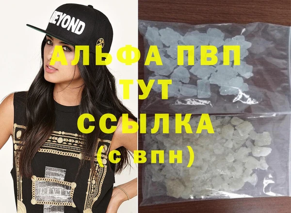 гашик Богданович