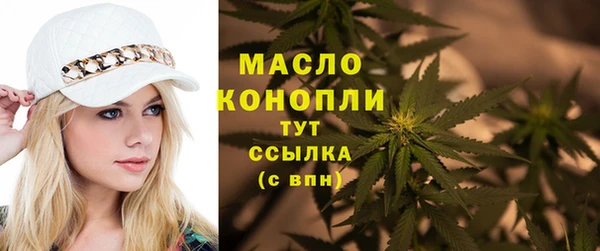 индика Белокуриха