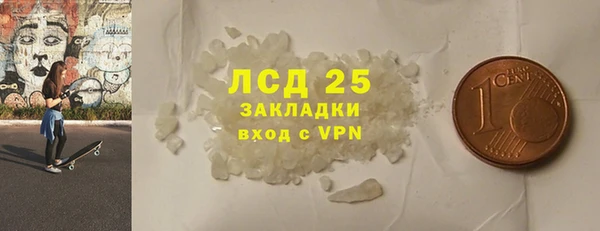 индика Белокуриха
