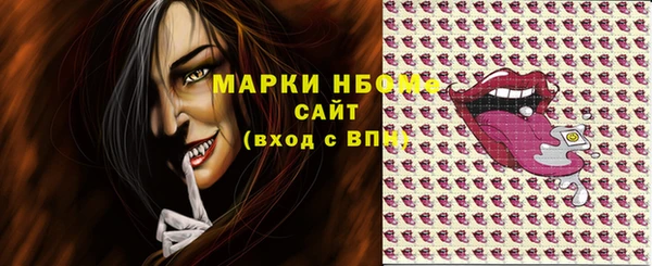 индика Белокуриха
