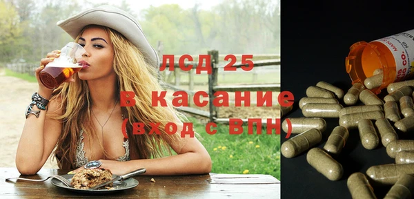 гашик Богданович