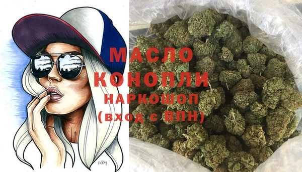 гашик Богданович
