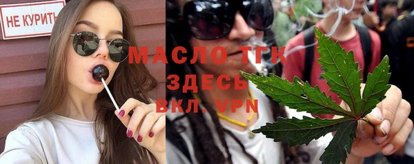 индика Белокуриха