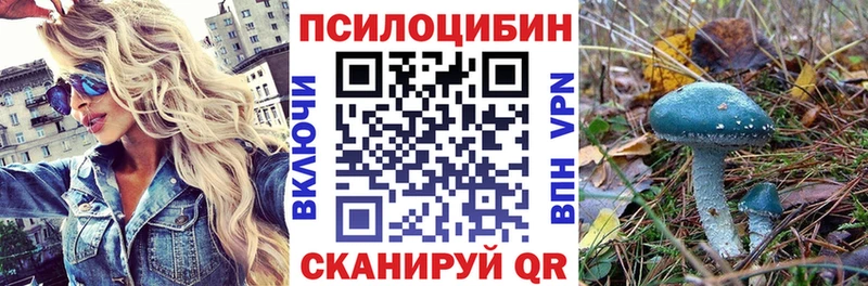 Псилоцибиновые грибы GOLDEN TEACHER как найти закладки Бирск